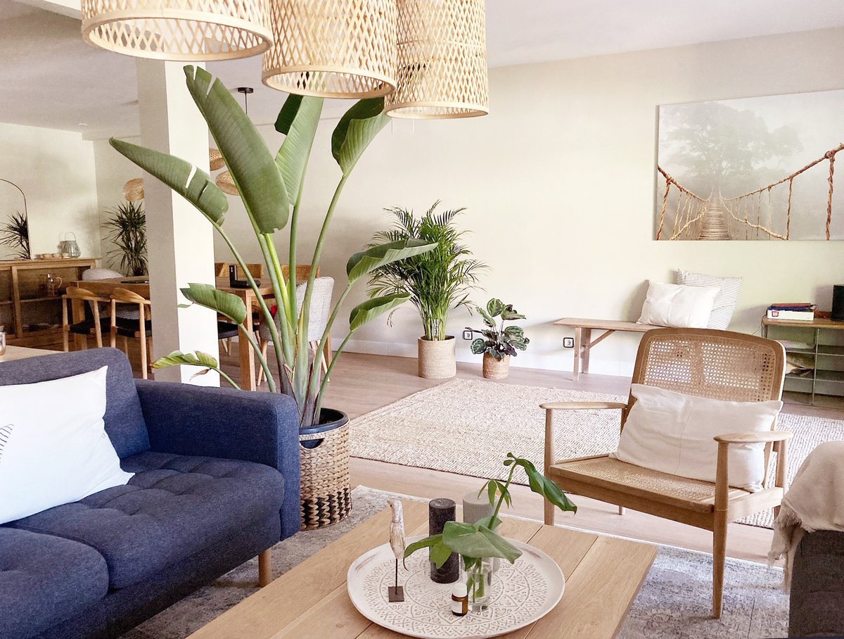 #JuevesDeArquitectura: “El verdadero bienestar en el hogar nace de convivir con la naturaleza, no con pantallas”. La experta en #neuroarquitectura María Gil recuerda que luz, silencio y vegetación son la base de una casa que cuida 🌿✨.
🗞️ <a href="/hola/">Revista ¡HOLA!</a>
👇👇👇
bit.ly/HOLAneuroarqna…