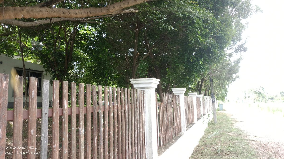 LodeCha's tweet image. ไปหาใครได้บ้างครับ
#โคราช #ในเมือง