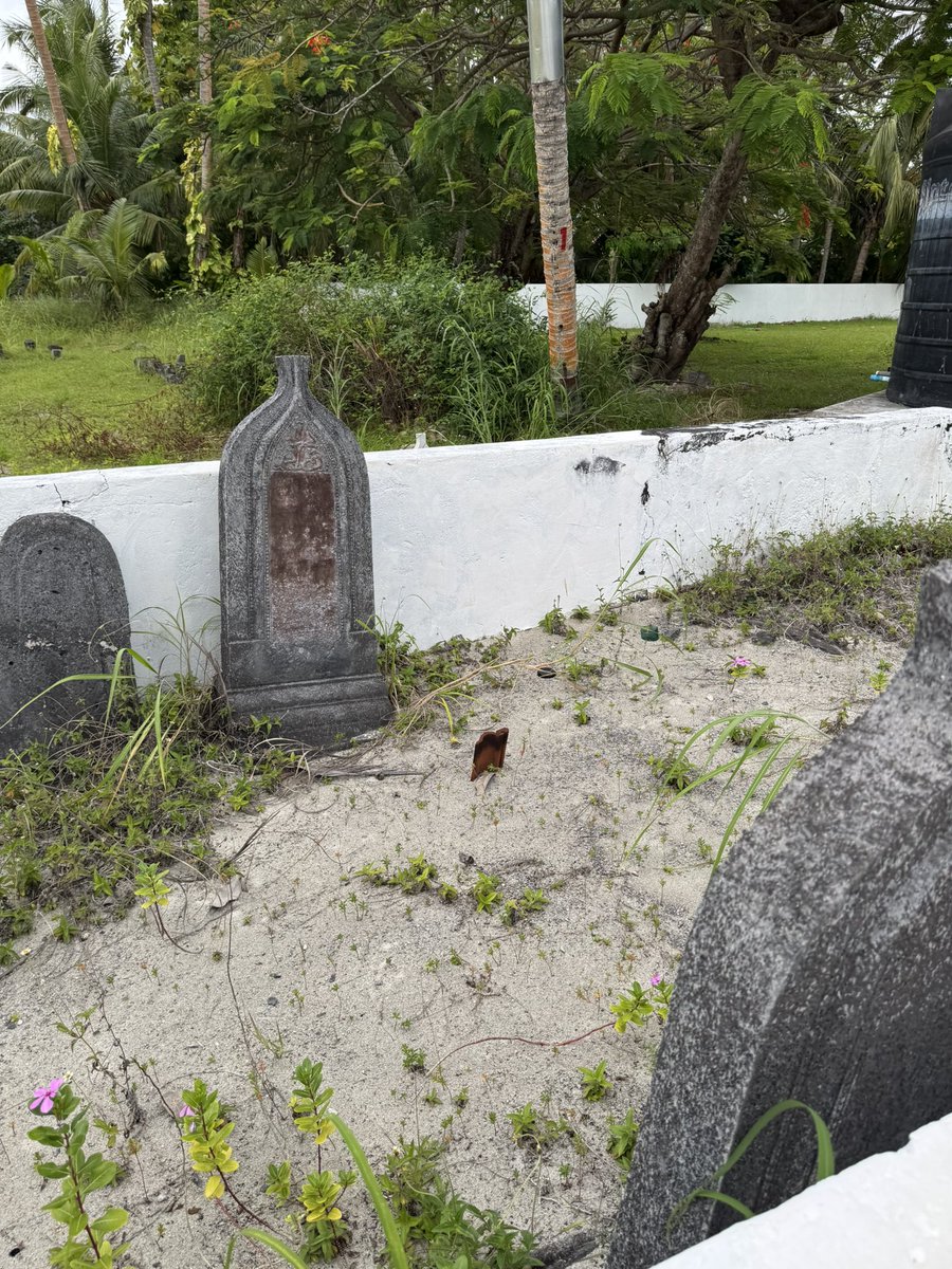 އައްޑުއަތޮޅު ހޫޅުދޫ މާމިސްކިތުގެ ގަބުރުސްތާނުގައިވާ އަލްގާޟީ އިބްރާހިމް މަޖުދުއްދީނުގެ އިސްމާއިލް ބަހާުއްދީނުގެ އިބްރާހިމް ބަހާއުއްދީން ( ހުޅުދޫ އެޅެހިށިގޭ ދޮންމަނިކު) ވަޅުލެވިފައިވާ ބިސްތާން. އެޒަމާނުގެ އިލްމުވެރި ބޭކަލެއް އަދި މުދާވެރި މަހުޖަނެއް! ހެޔޮރަހުމަތް ލައްވާށި!