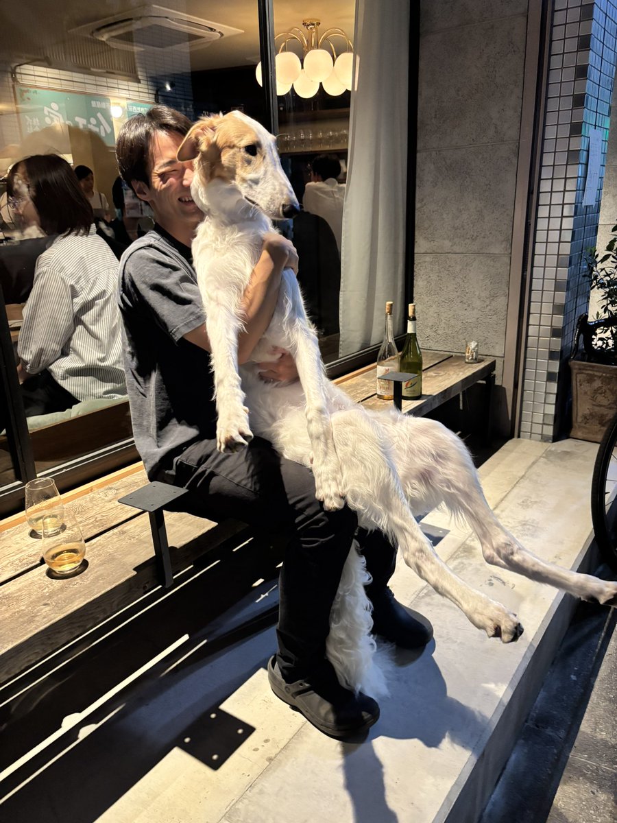 抱っこ。

…抱っこ？？