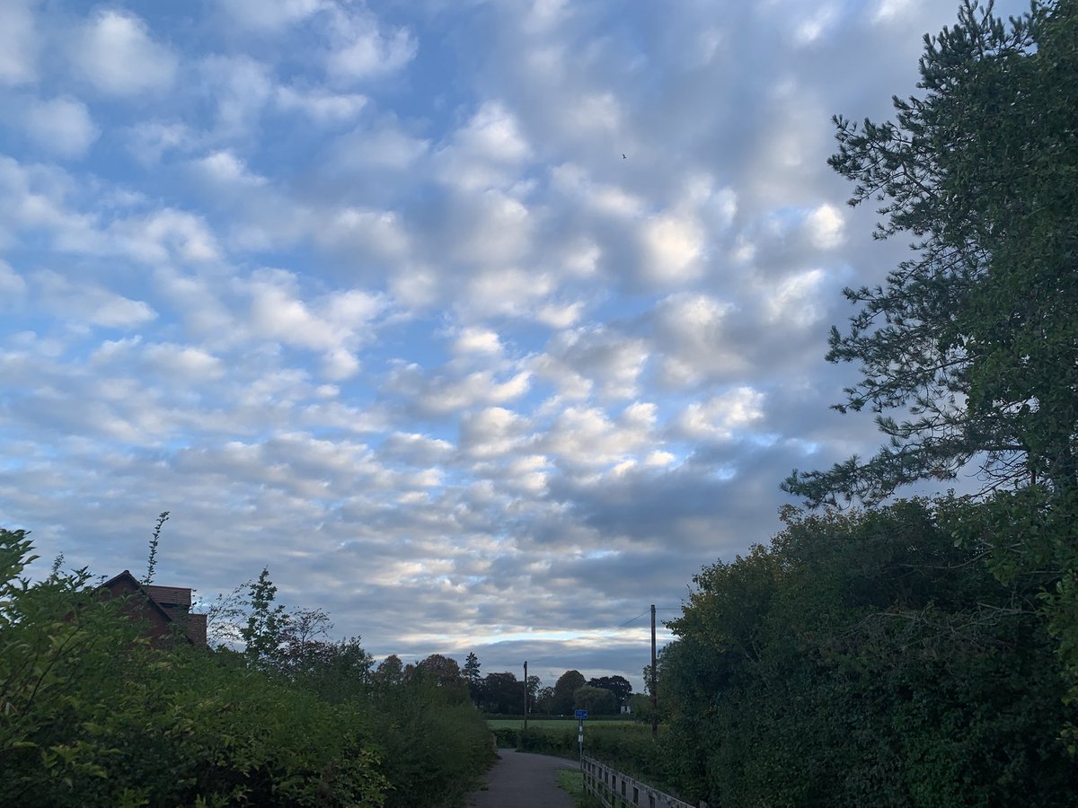 #hellomynameisAndy tweet media