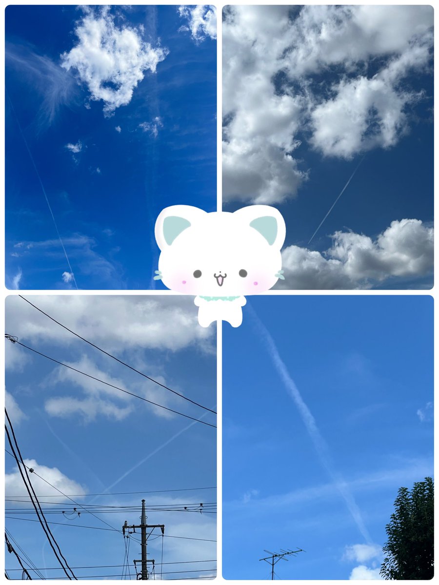 #今日の散歩中の中の出来事
何回も飛行機雲を見た。
そして色々な写真が撮れた🤳
果たしてこれを見た時、あなたはなにを感じるのだろう😆😆
