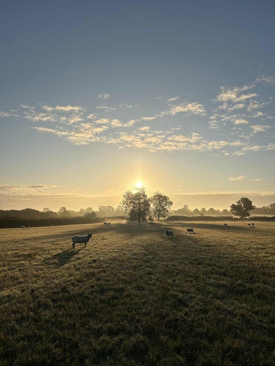 Richard Brown (@brownsvilleted) on Twitter photo 