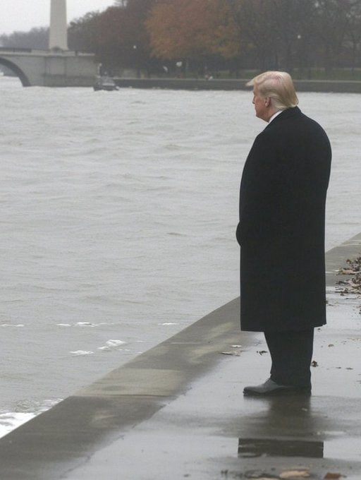 Donald trump despues de que alberto fernandez le diga WAKE UP