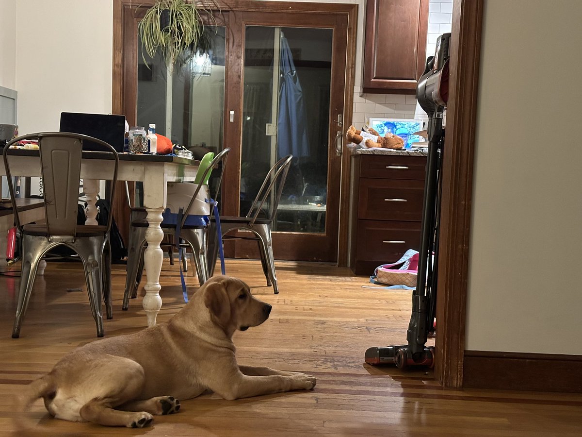 You must keep an eye on the vacuum cleaner at all times.  Cleanse your timeline with Cruz.