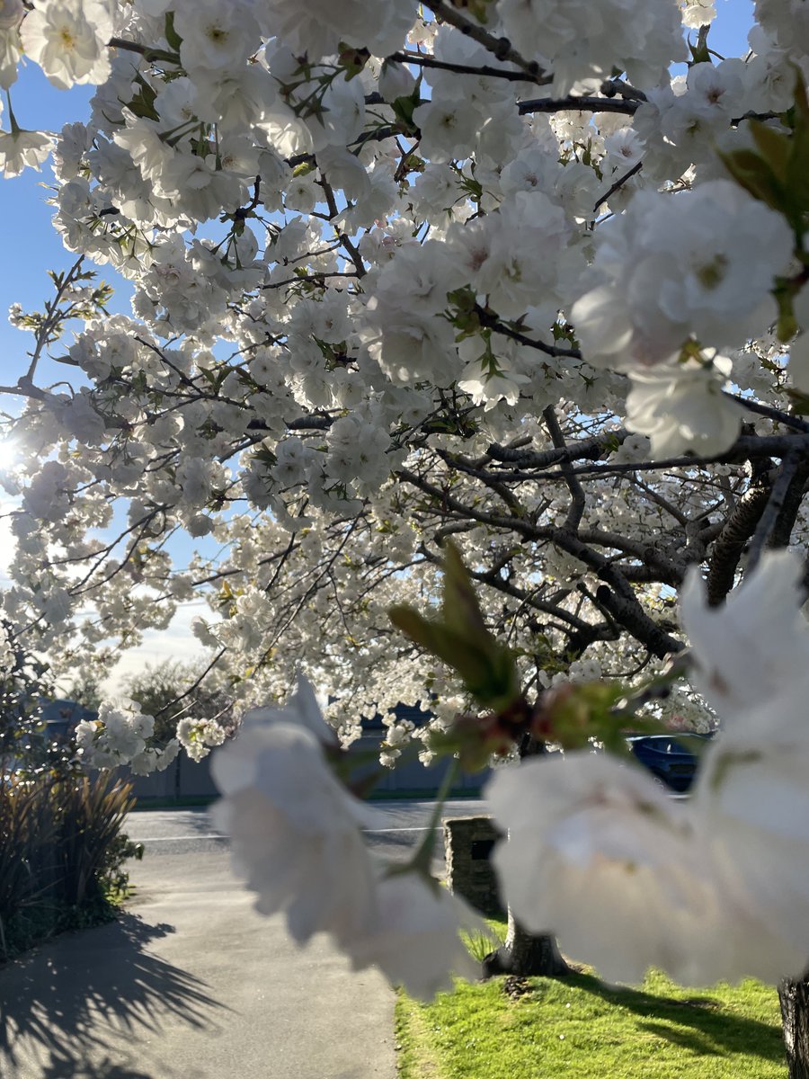 everwisefool's tweet image. Only one number makes the world laugh and blush: 69. The crew pushing it to 69M is unstoppable. CA: AnKdvsKiZSCVWw67AcuFcwBmmftG8JjhAgaShXnopump