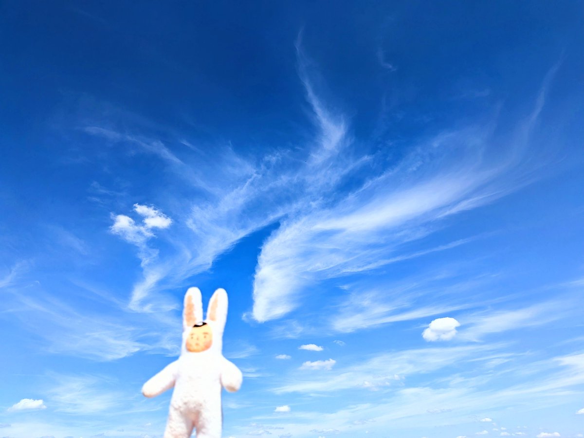 サトウくん Aoshima 00488 Toyota Mark Ii Tourer V Jzx90 1:24 - Ceny i