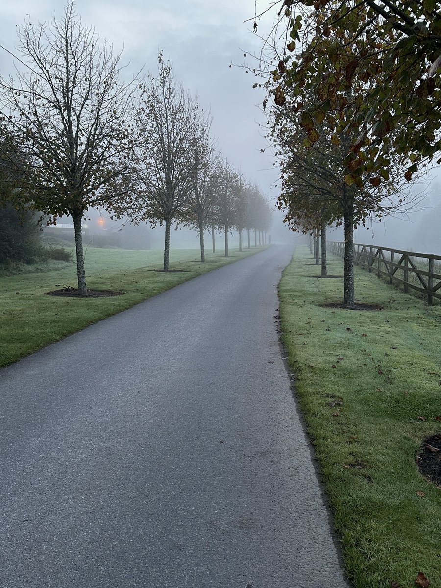 Maria Fadiman tweet media