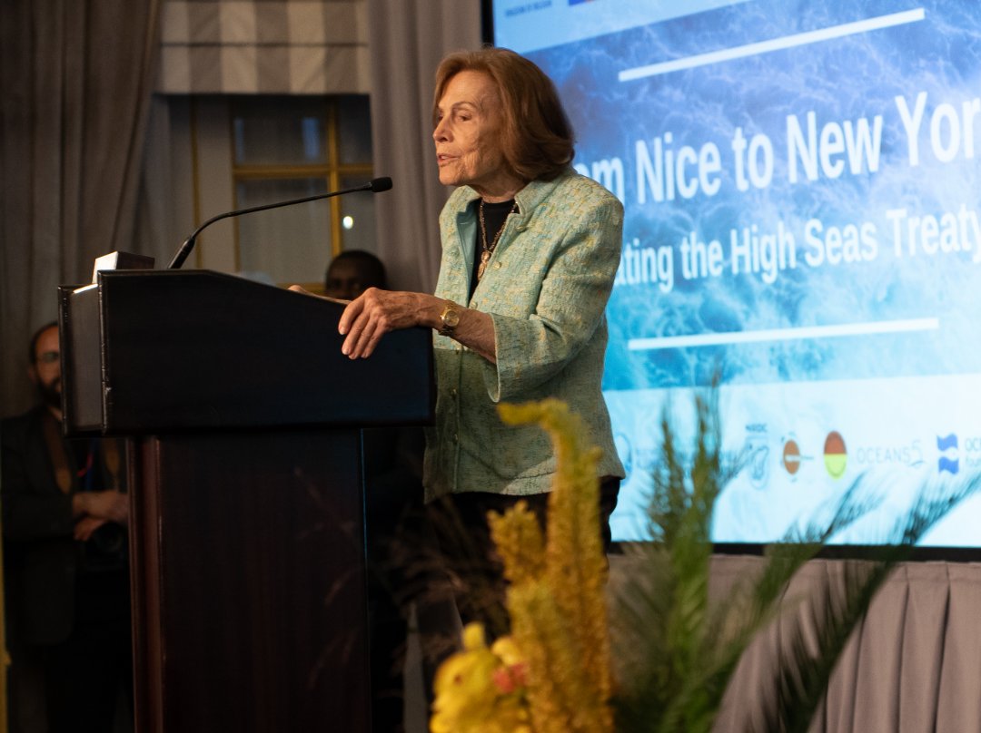 Minderoo Foundation tweet media