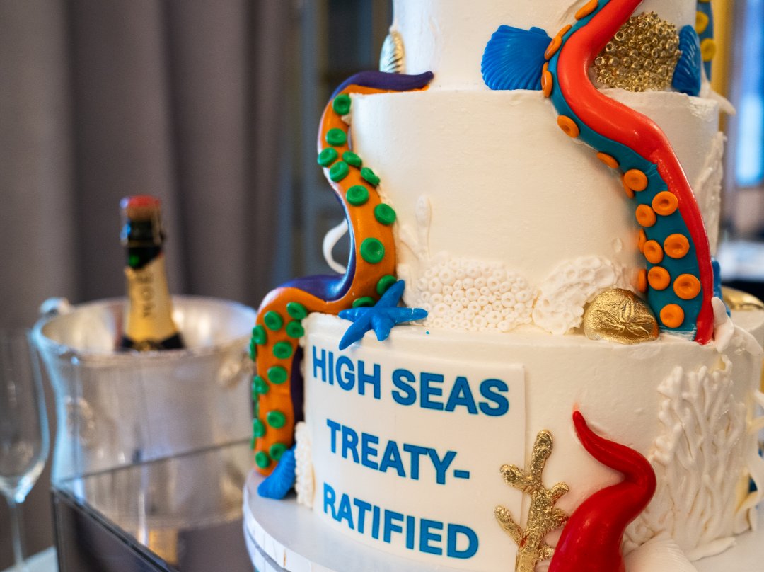 Minderoo Foundation tweet media