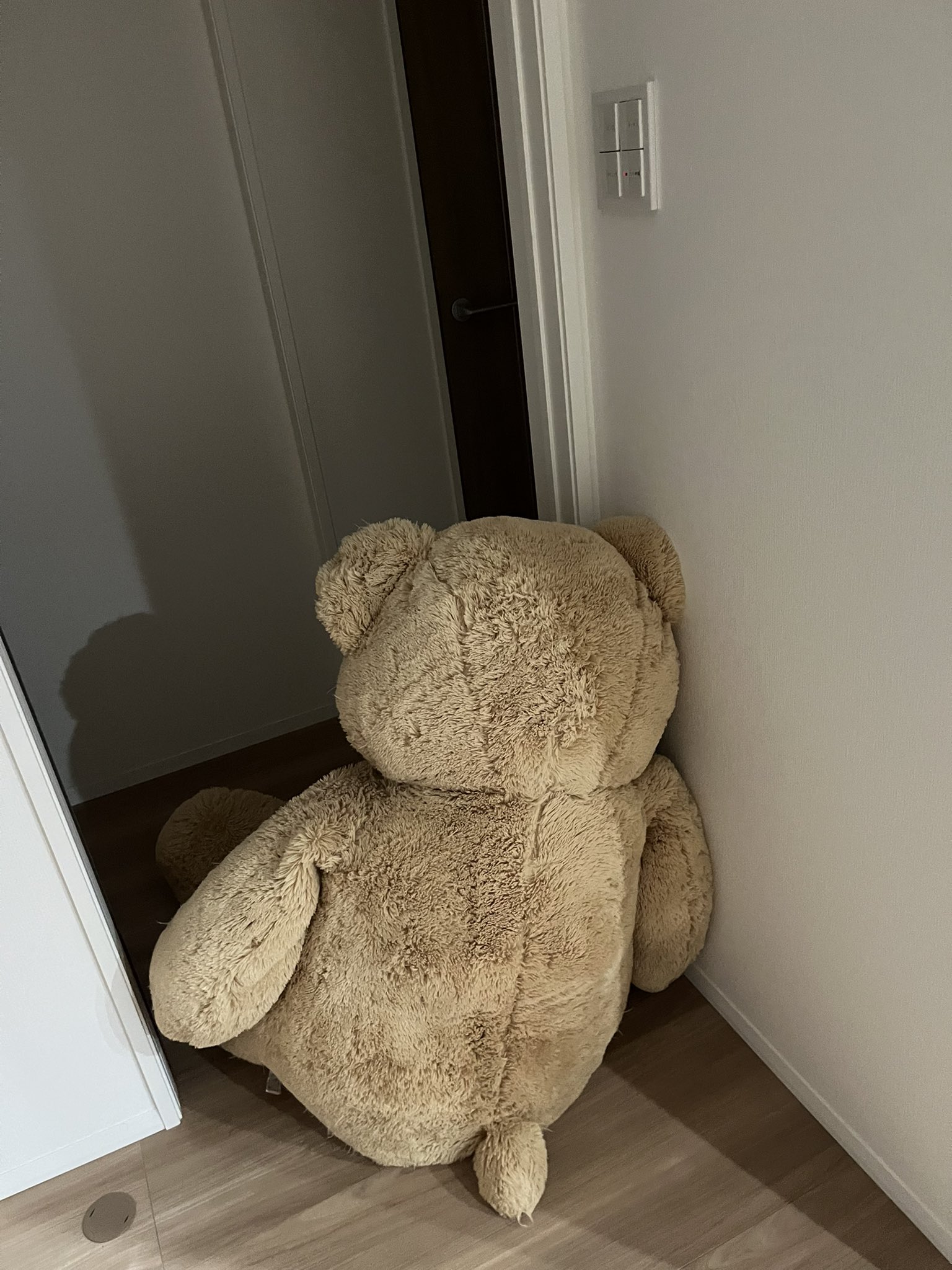 コストコクマ コストコのツキノワグマ