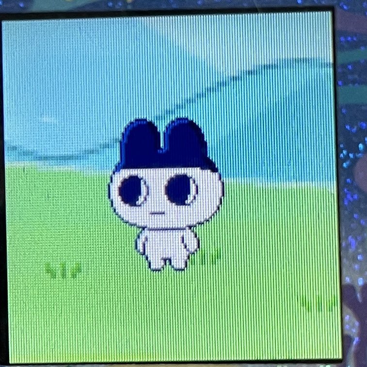 白いまめっちができました