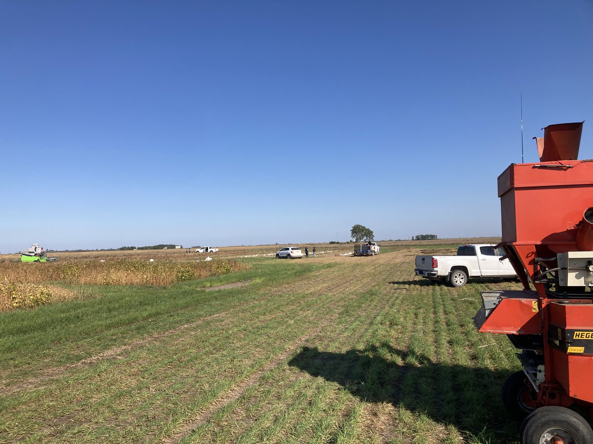 I think it was the first time at WADO we  had three combines harvesting at the same time. Hemp, dry beans and canola. <a href="/jeffkostuik/">Jeff Kostuik 🇺🇦</a> <a href="/MbPulseGrowers/">MPSG</a> <a href="/CanolaGrowers/">Canola Growers</a> <a href="/CropCentres/">Manitoba Diversification Centres</a>