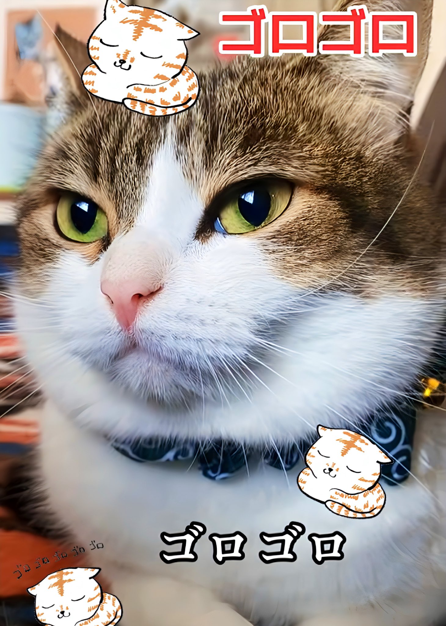 ねこ⭐︎° 🇦🇷 вιαςк ℓσтυѕ נαει //VGEN OPEN COMM on X: 