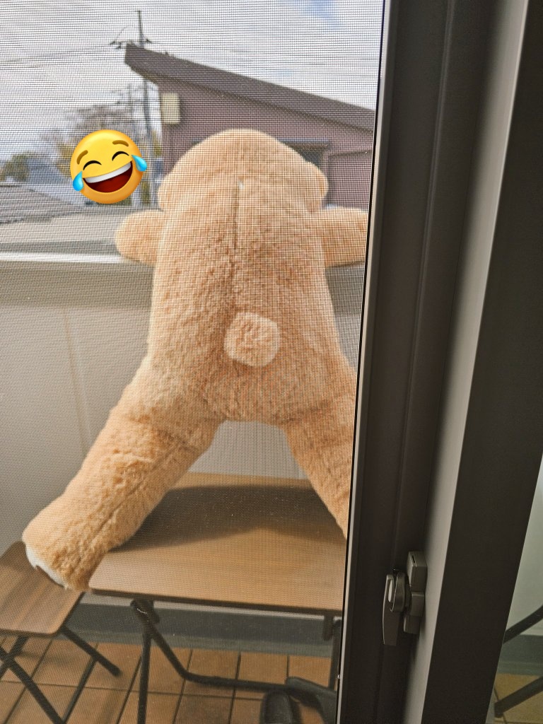 SRの🧸イベで貰った130cmの🧸ちゃん
通称大五郎🐻笑
大五郎は大きくて私の家には置けないので実家の
姪っ子ちゃんといるんだけど洗濯されて天日干し
されてる時の姿が面白いので見て欲しいw
1枚目は外から見える感じで2枚目は部屋から
見える感じでシュールだけど可愛いでしょ😂
#SRクマアンバサダー