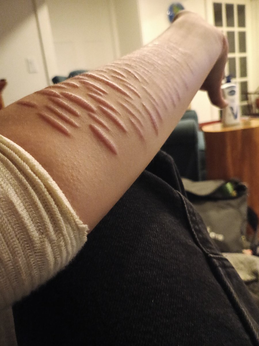 🪷Zoey🪷 tweet media