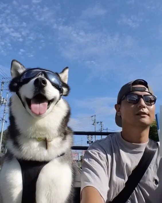 もちごめ兄弟 (@mochigome810) / Posts / X