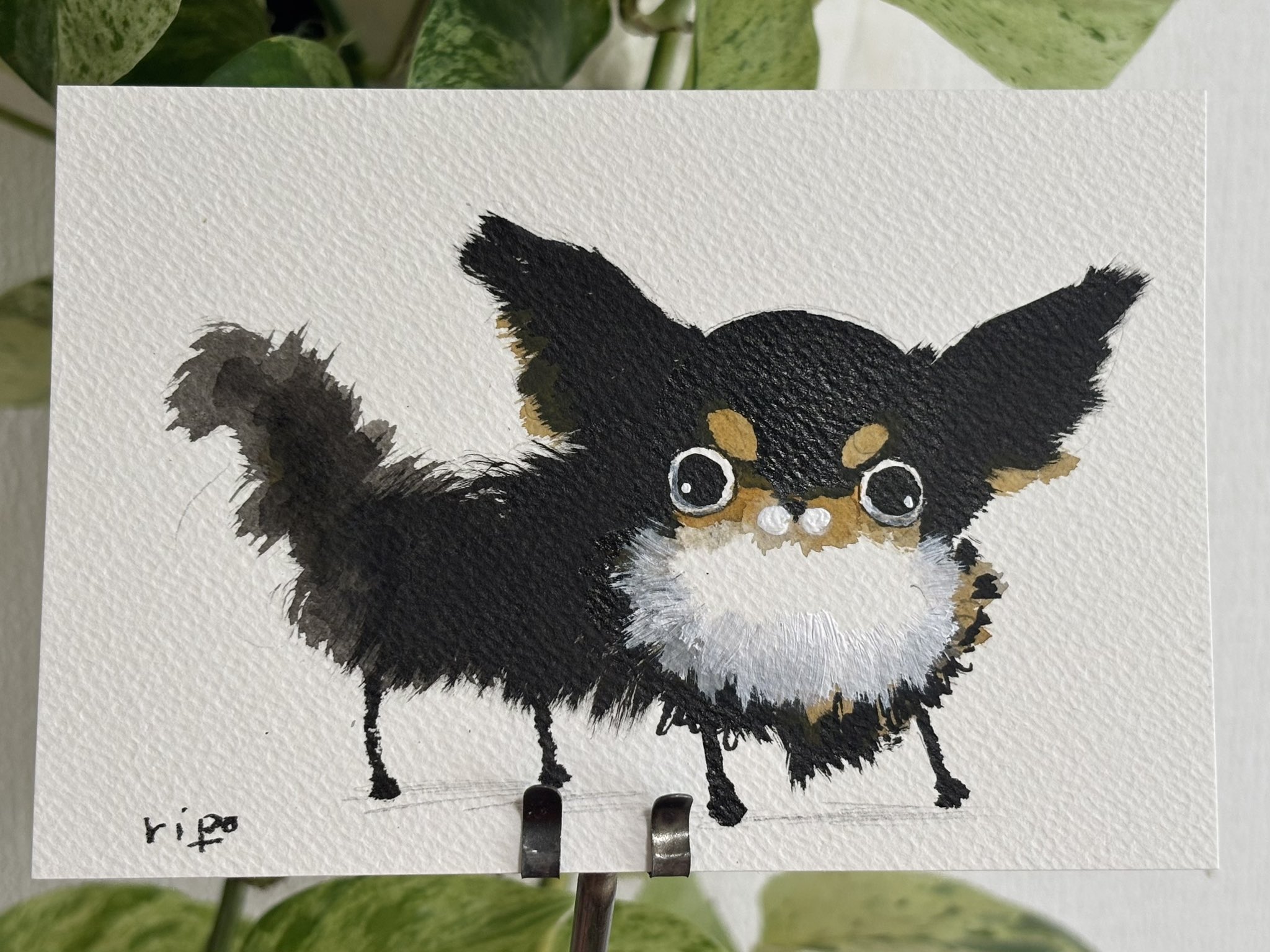 特別価格★【原画】『ウミウシに乗って』（風景画　空の絵　チワワ　黒猫　手描き） 制作風景025】産まれたときからずっと一緒の仲良し姉妹 チワワの