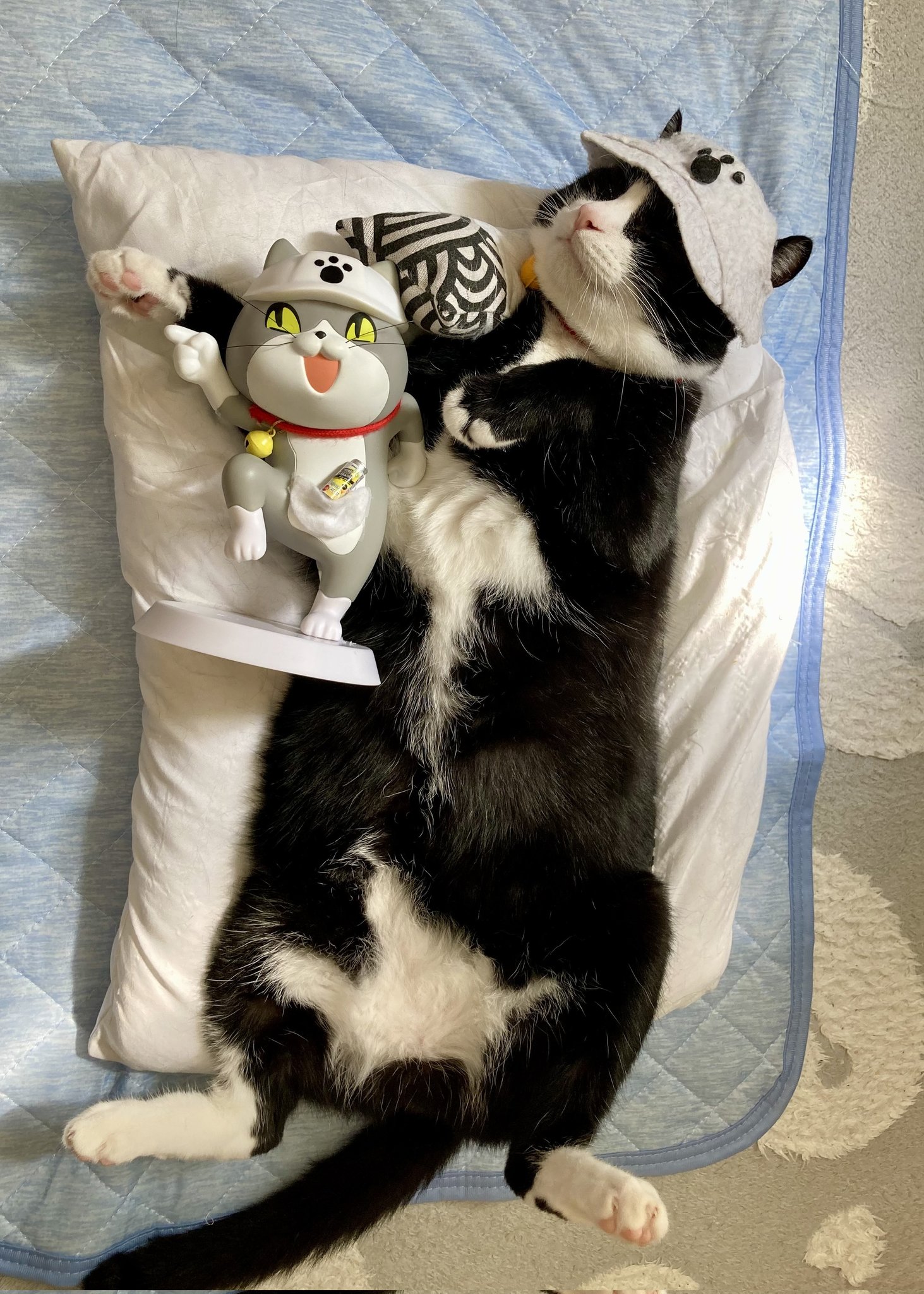 みーちゃん⚾️🐖🍨🚖 (@W6QEjhpzIs632) / X