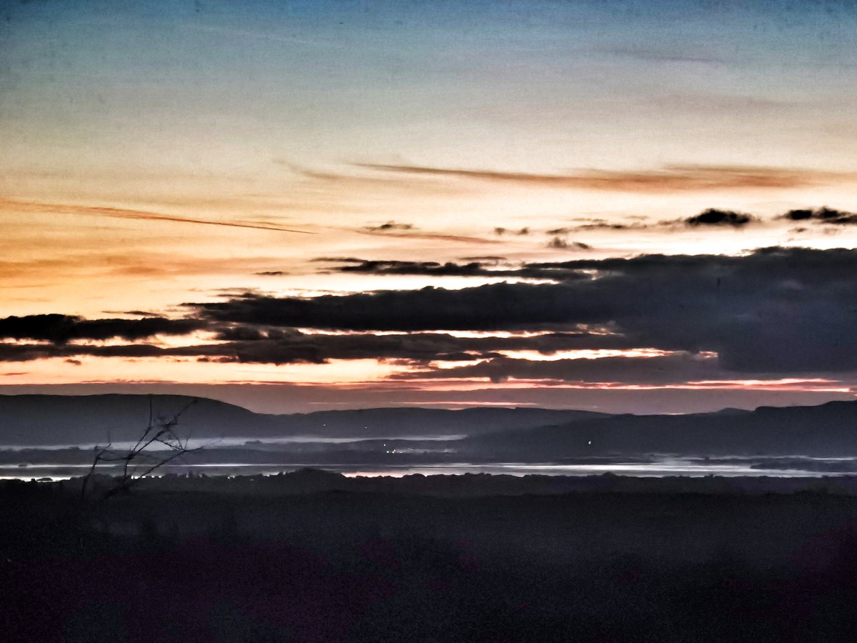 Good Morning, #cats and significant others 🤞 🌄 🐾 🍗 ☕ 🌄 👋🐭✨ 🐾