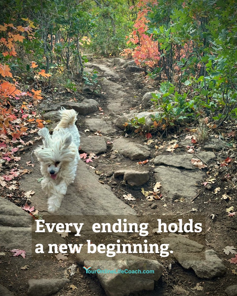 ShellyLynott's tweet photo. The leaves are turning—red, yellow, and orange—reminding me that change is a natural part of life. Letting go isn't failure- it's making space.
What are you ready to release so you can step into what’s next with a lighter heart?  

#FallReflection #LettingGo #LifeCoaching https://t.co/UjY4dfOEQS