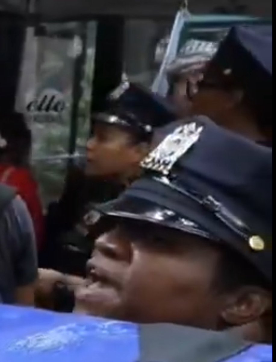 Intrepidus_Ibe's tweet image. Pakistani police working with the crowd. 

Just kidding, these are New York City cops. 🤦🏻‍♂️