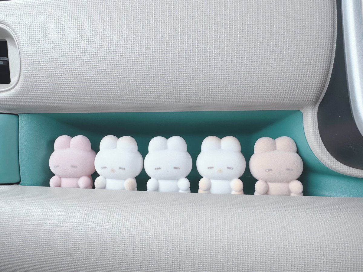 我が家にもフロッキーねむちゃんず届いたから早速みんなでドライブに行ったよ♡