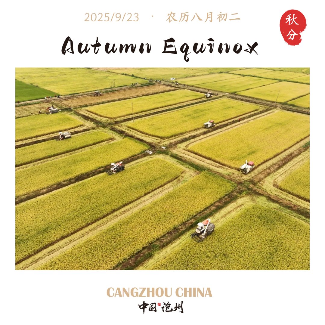 "Qiufen," or Autumn Equinox is the 16th of the 24 solar terms and the 4th of autumn. On this day, the sun shines almost directly on the equator, making day and night nearly equal in length worldwide. “Equinox” means “to divide,” signifying not just the equal split of day and