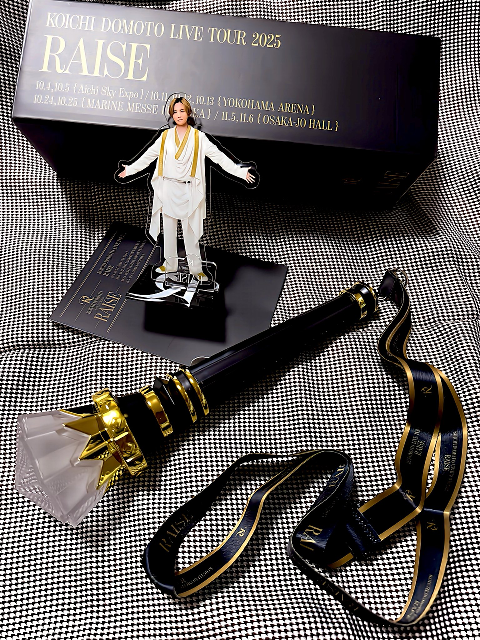 KOICHI DOMOTO /RAISE/コンサートグッズペンライト KOICHI DOMOTO /RAISE/コンサートグッズペンライト KOICHI