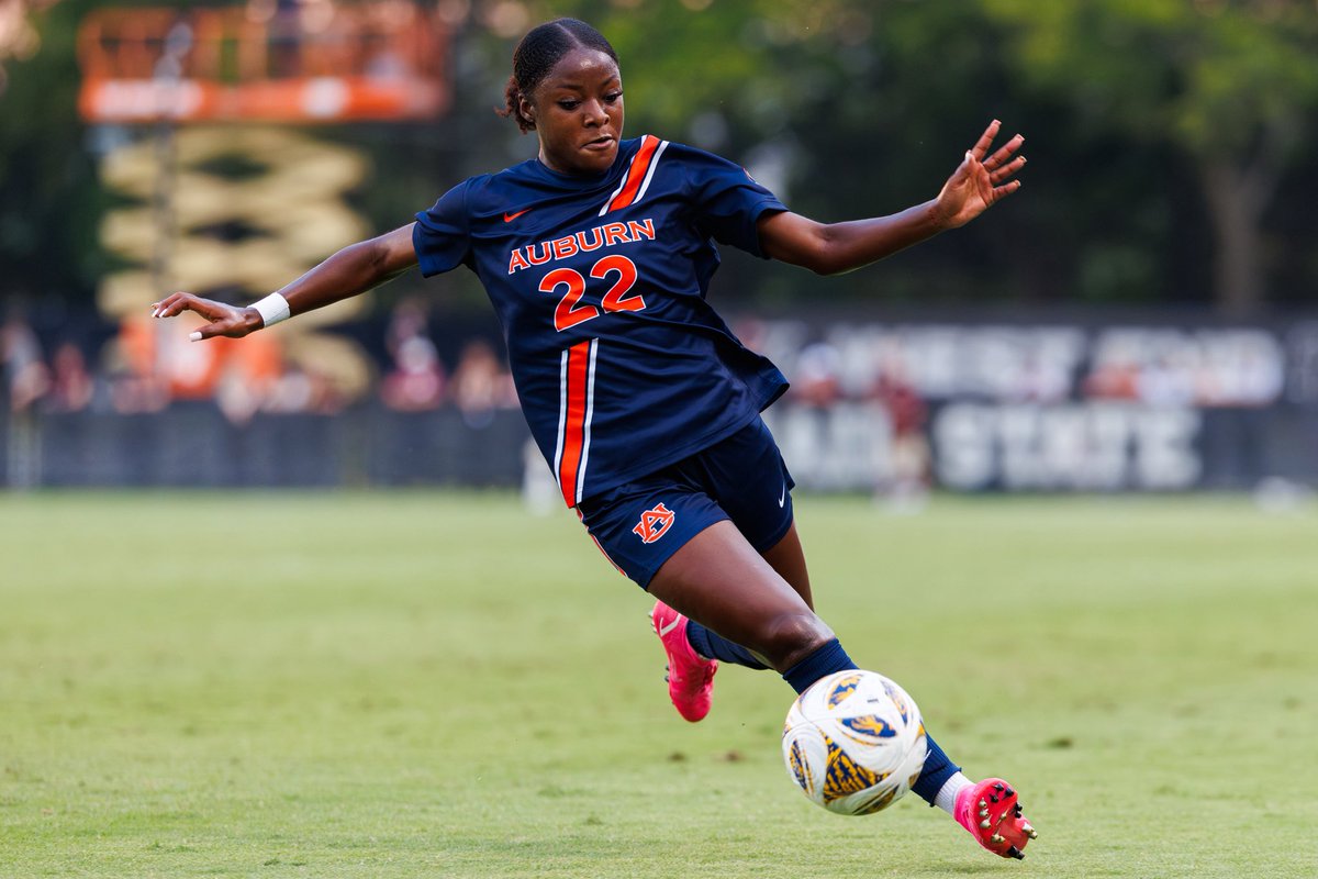 David Gray tweet media