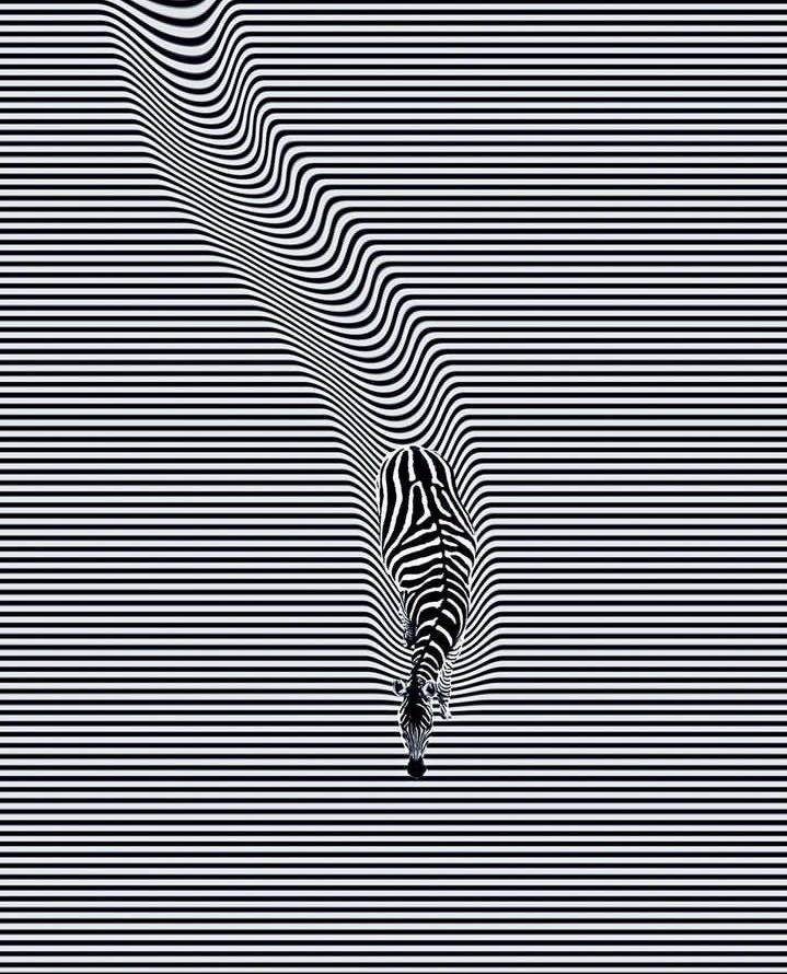 Mini Archillect (@miniarchillect) on Twitter photo 