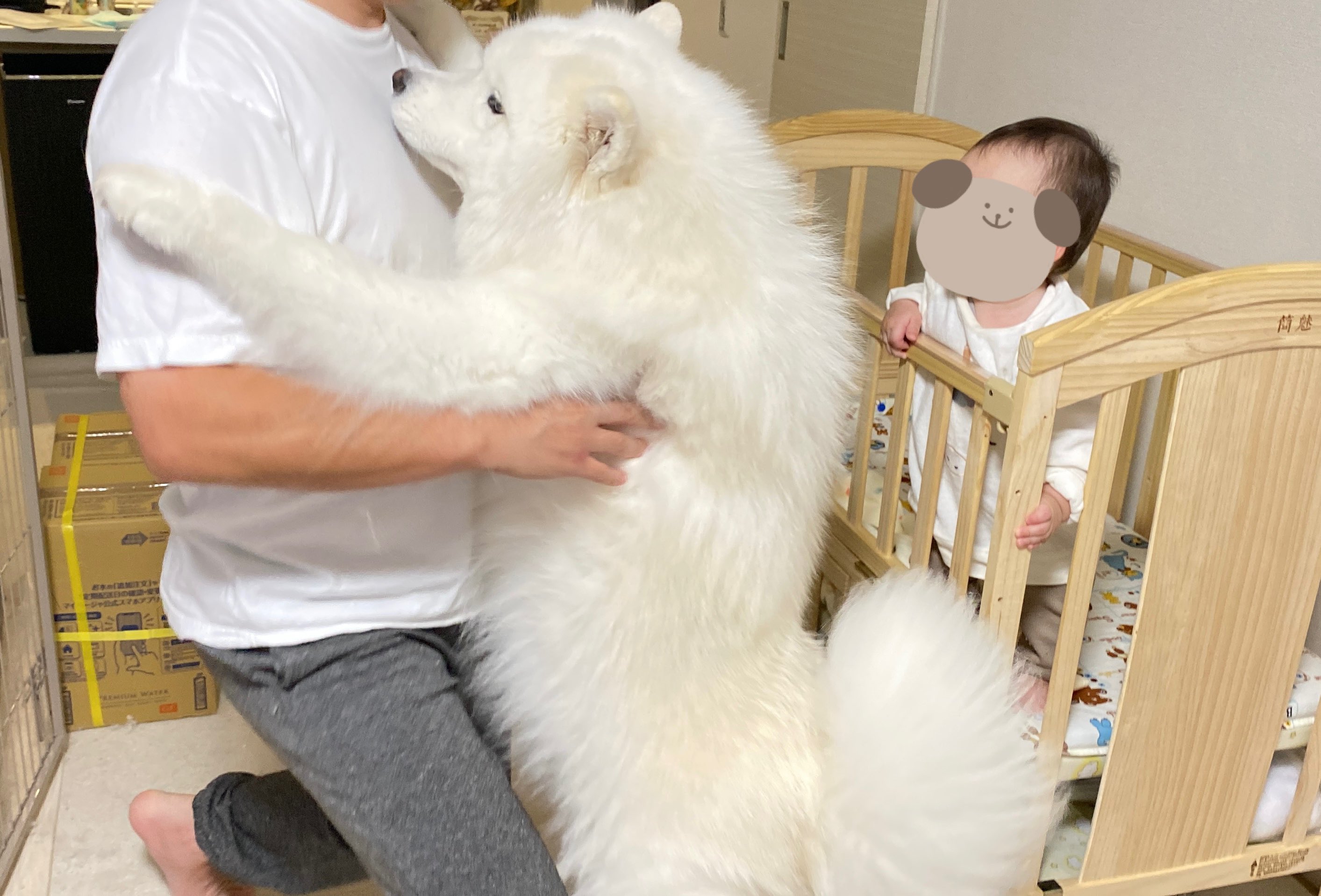 くったりサモエドくん JB くったり サモエドくん ごきげんぬいぐるみJB LMC さもくん しろ