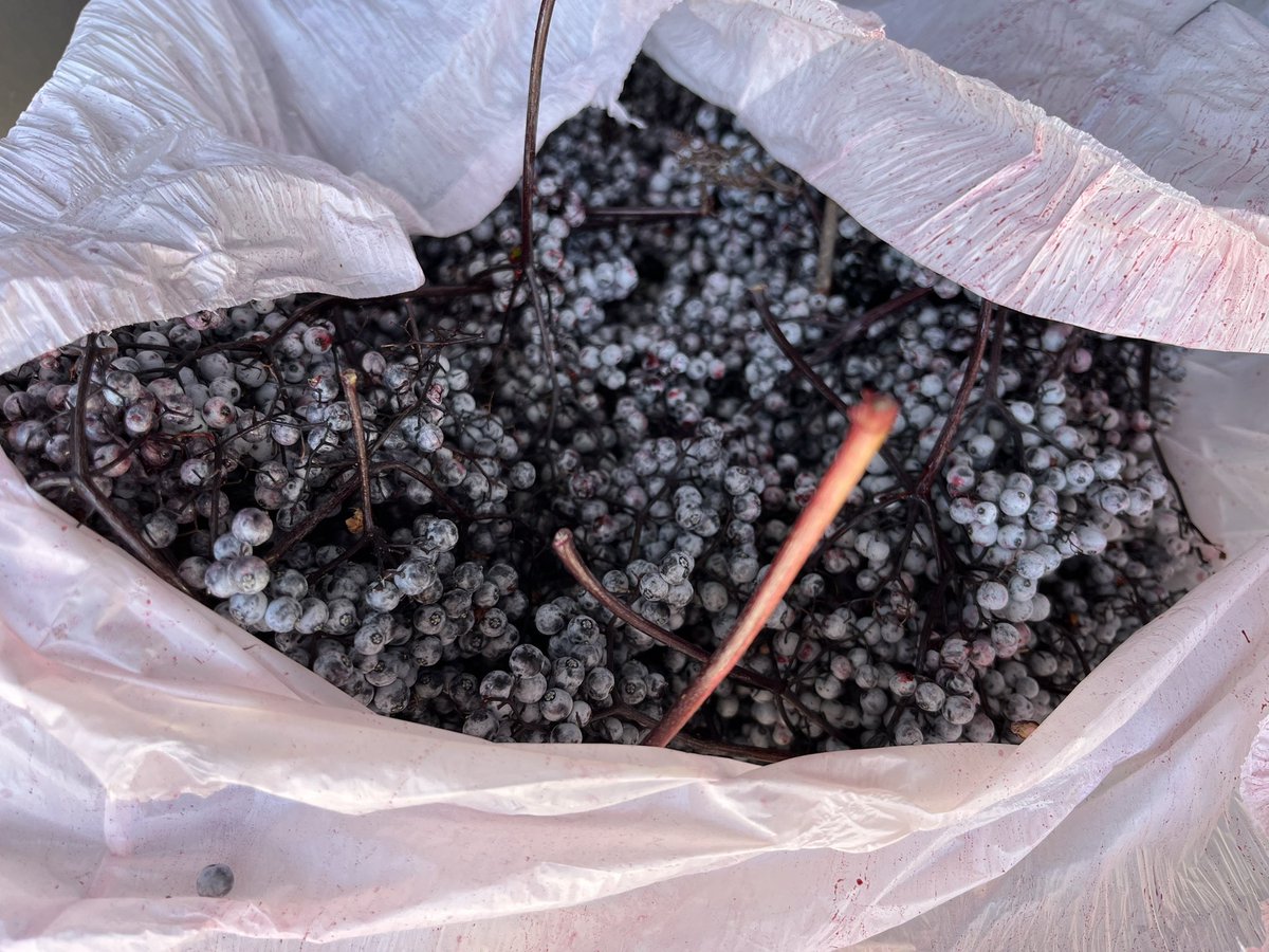 Got around 25 to 40lbs.