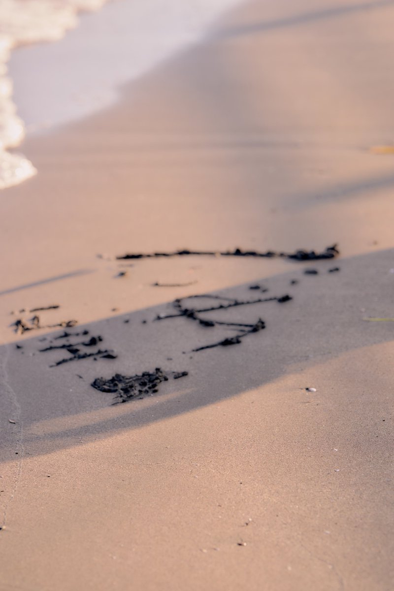 2025.08.31 YURI 私服撮影会 6

<a href="/yurilily5_/">yuri</a>
#ゆりりの日 
#ゆり 
#HiFiGL 
#ASOBISYSTEM 
#ASOBINEXT