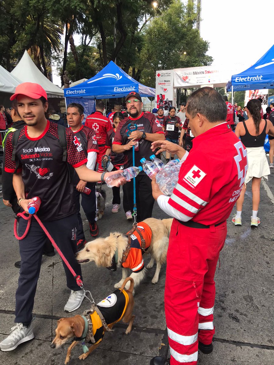07.09.25 Se llevó a cabo la Carrera de la Cruz roja Mexicana Salvando Vidas, fue cubierta con 47 voluntarios pie tierra, 28 bikers y 11 scouts, apoyando en diversas actividades previas, durante y al final de la misma. <a href="/CICR_DRMX/">CICR México y América Central</a> <a href="/IFRC_es/">IFRC Americas</a>