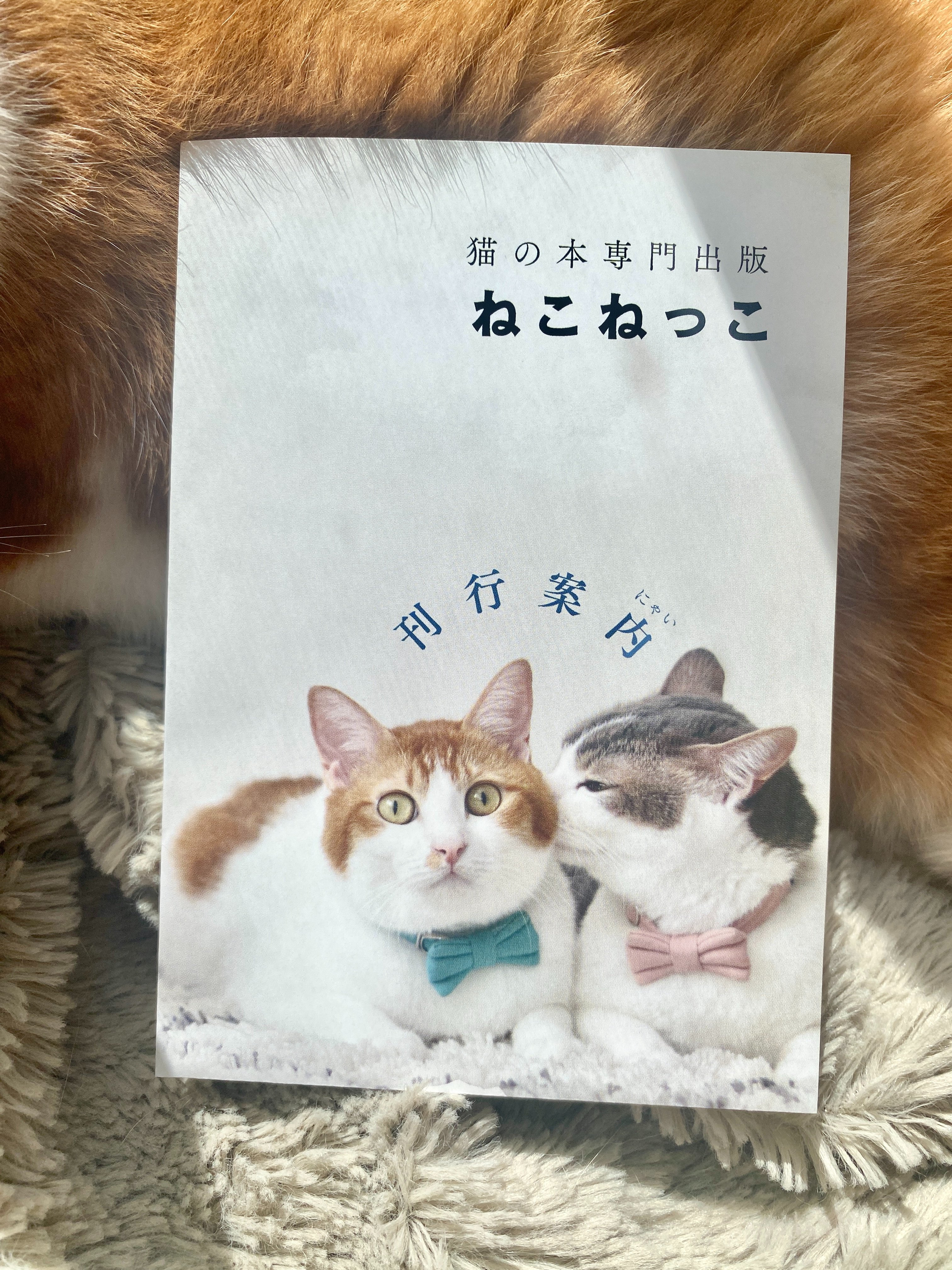 ねこねっこ🐈猫の本専門出版📚新刊10/22 (@neco_necco_net) / X
