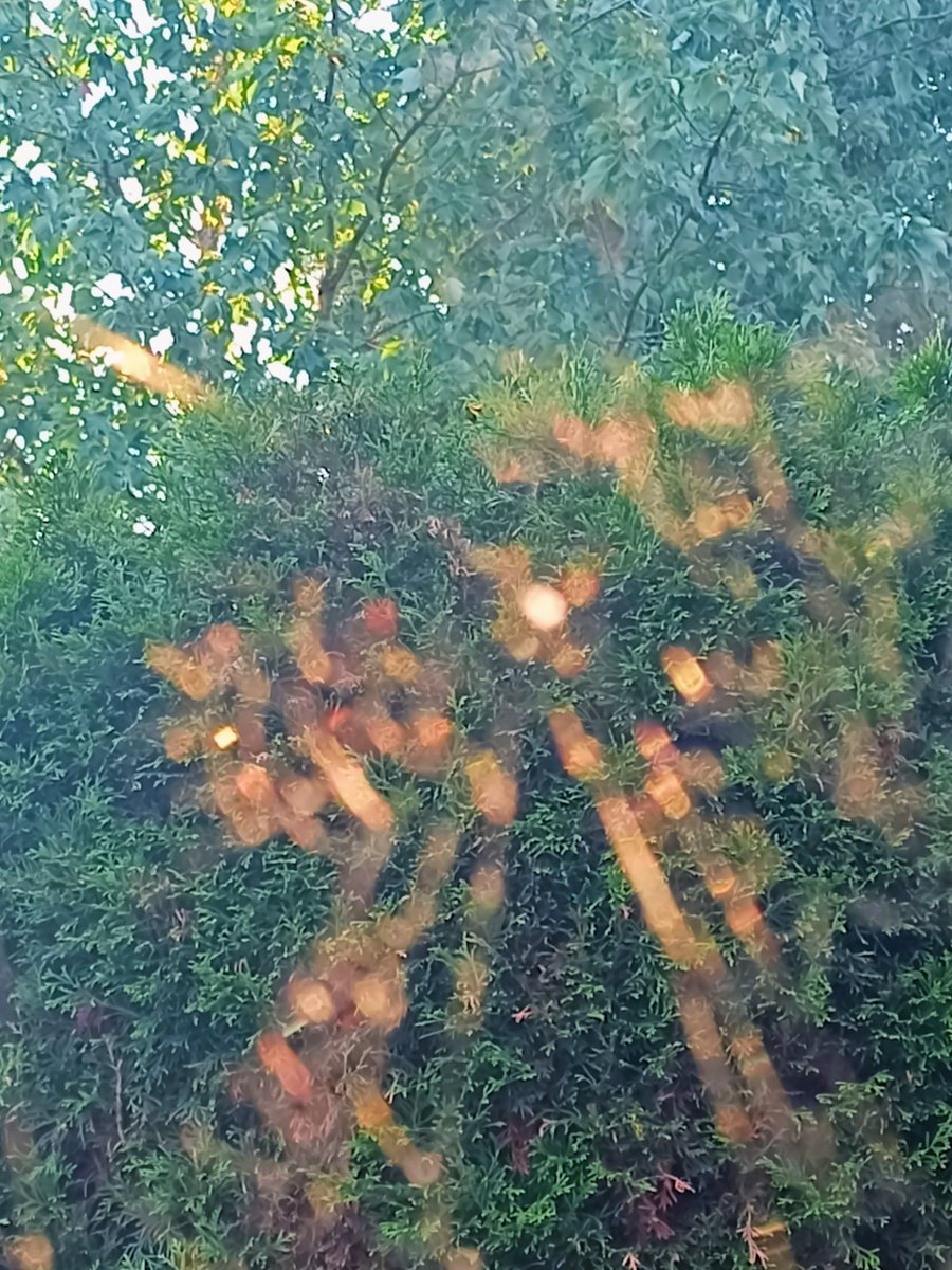 naren_dr1103's tweet image. #bokeh
