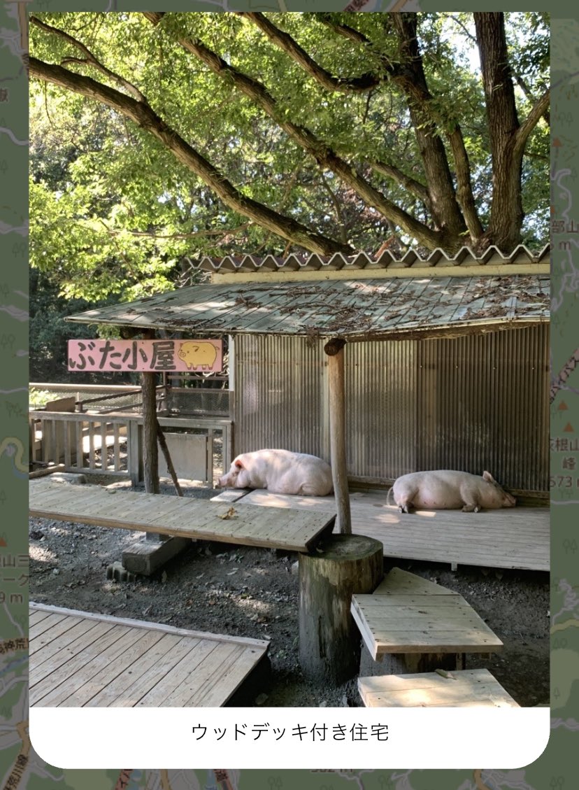 RadioRa26841511's tweet image. これは先日した #MyAshiato です
このようにぶた小屋🐖を見てもトランザクション飛ばす事ができるんです。はいトランザクション飛ばせない豚はタダの豚です🐖🐖🐖
#ぶた #豚