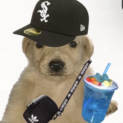 ThatFireFan99's tweet image. #NewProfilePic
POV of me in Mexico asking the DJ to play El Malilla