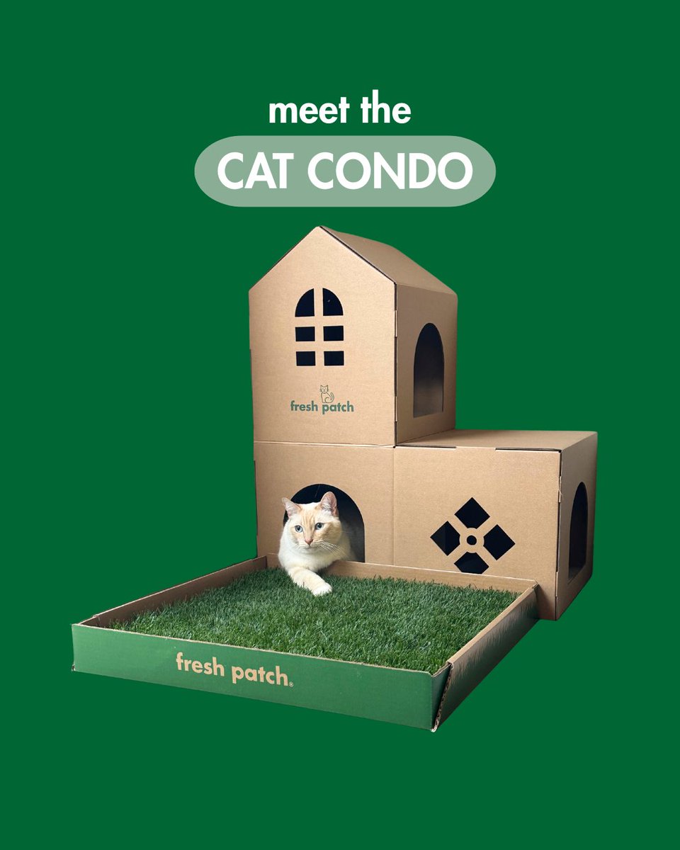 FreshPatch's tweet image. Give your cat the ultimate play-and-relaxation station with the Fresh Patch Cat Condo 🐈️🏠️🐾

Perfect for curious cats who love to play, scratch, and nap all in one spot. Shop now at FRESHPATCH.com

#FreshPatch #CatScratcher #CatsOfTwitter