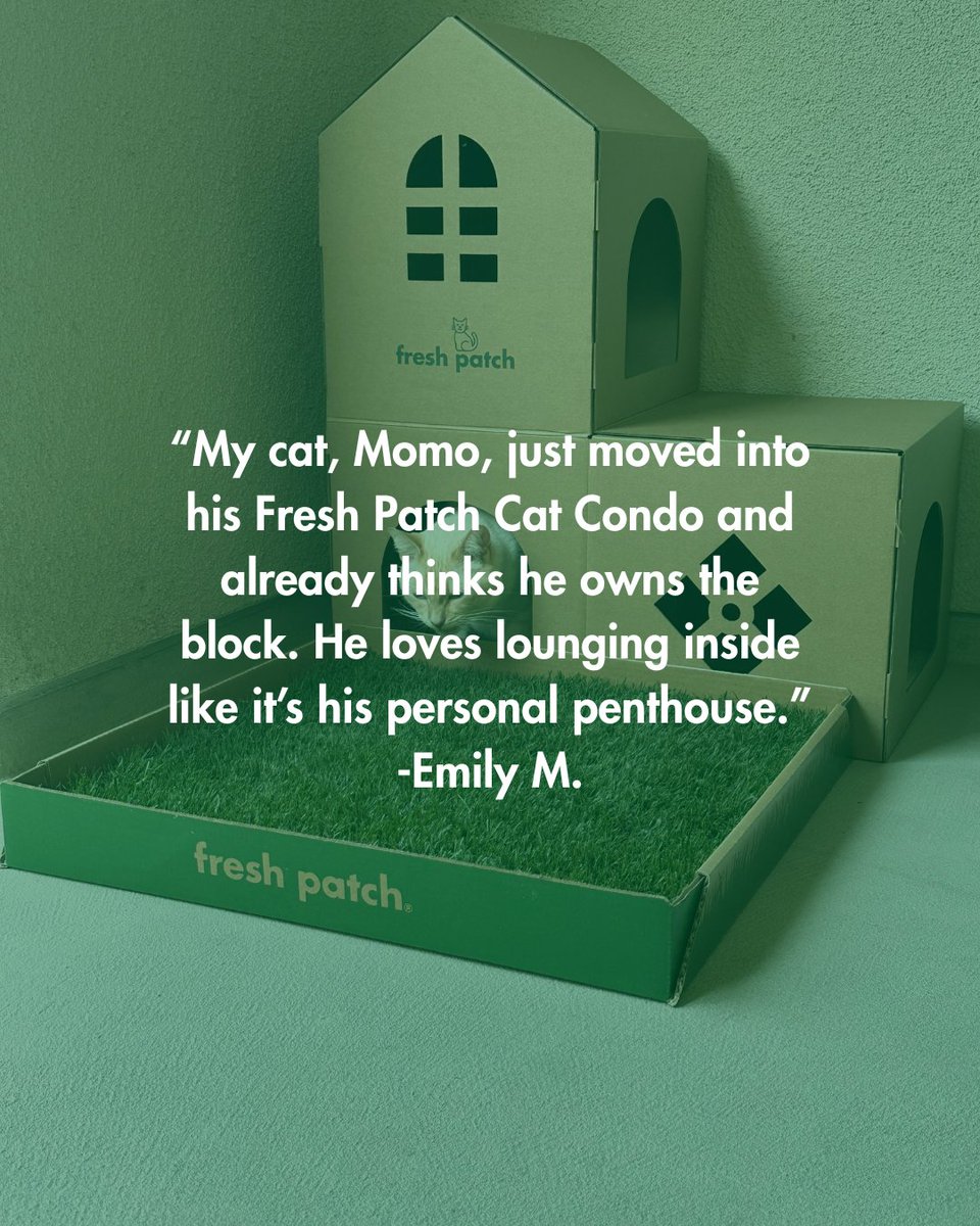 FreshPatch's tweet image. Give your cat the ultimate play-and-relaxation station with the Fresh Patch Cat Condo 🐈️🏠️🐾

Perfect for curious cats who love to play, scratch, and nap all in one spot. Shop now at FRESHPATCH.com

#FreshPatch #CatScratcher #CatsOfTwitter