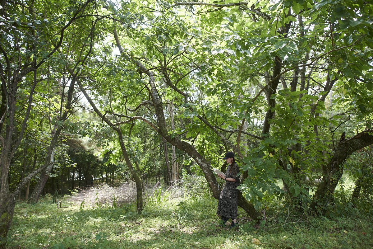 【NEW！】
特集・紅葉ハイキング＆自然を味わう
Vol.1 森の読書、山の昼寝。
静かな高原リゾートへ
👉lnky.jp/KidRCUh

これから徐々に涼やかさが深まりゆく秋。
本を片手に訪れたい、自然と寄り添うようにたたずむ4つのスポットをご紹介します。