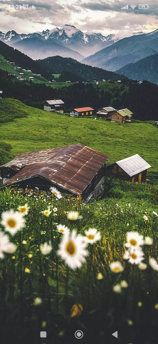 🇹🇷 Günaydınlar Türkiye'm 🇹🇷 Günaydınlar 💛 Fenerbahçe Ailesi 💙 Sağlıkla mutlu gönlünüzce güzel bir güne hayırlı işler bol kazançlar sevgiyle kalın 🇹🇷 #FenerinMaçıVar   #YellowLegacy  #Çarşamba