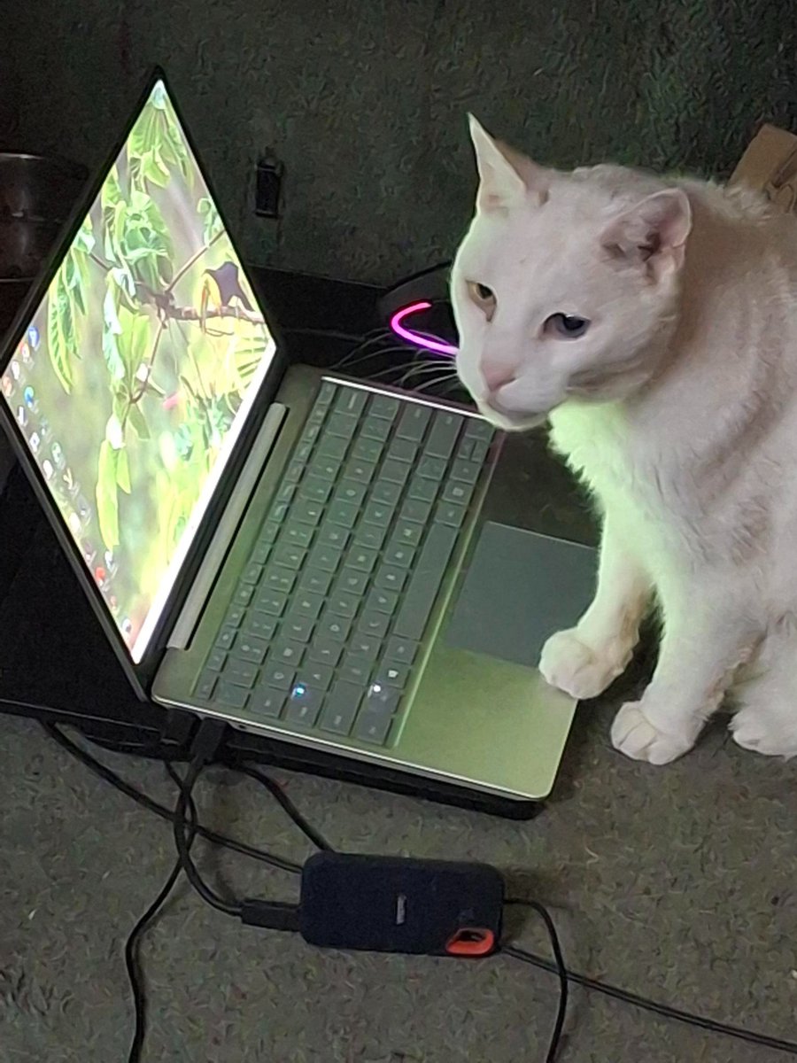 Work's been hectic. Had to hire an assistant.