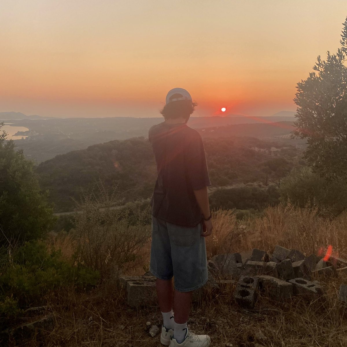 C8H11NO2 tweet media