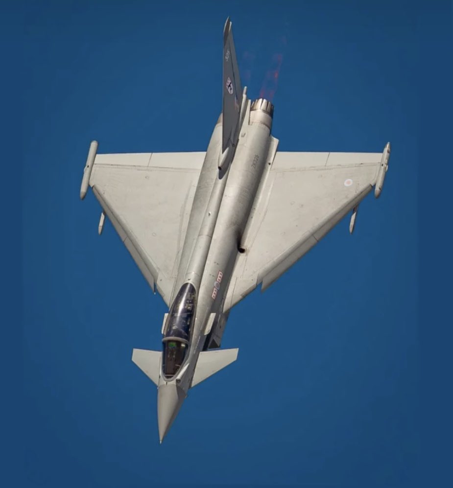 Typhoon Display Pilot tweet media