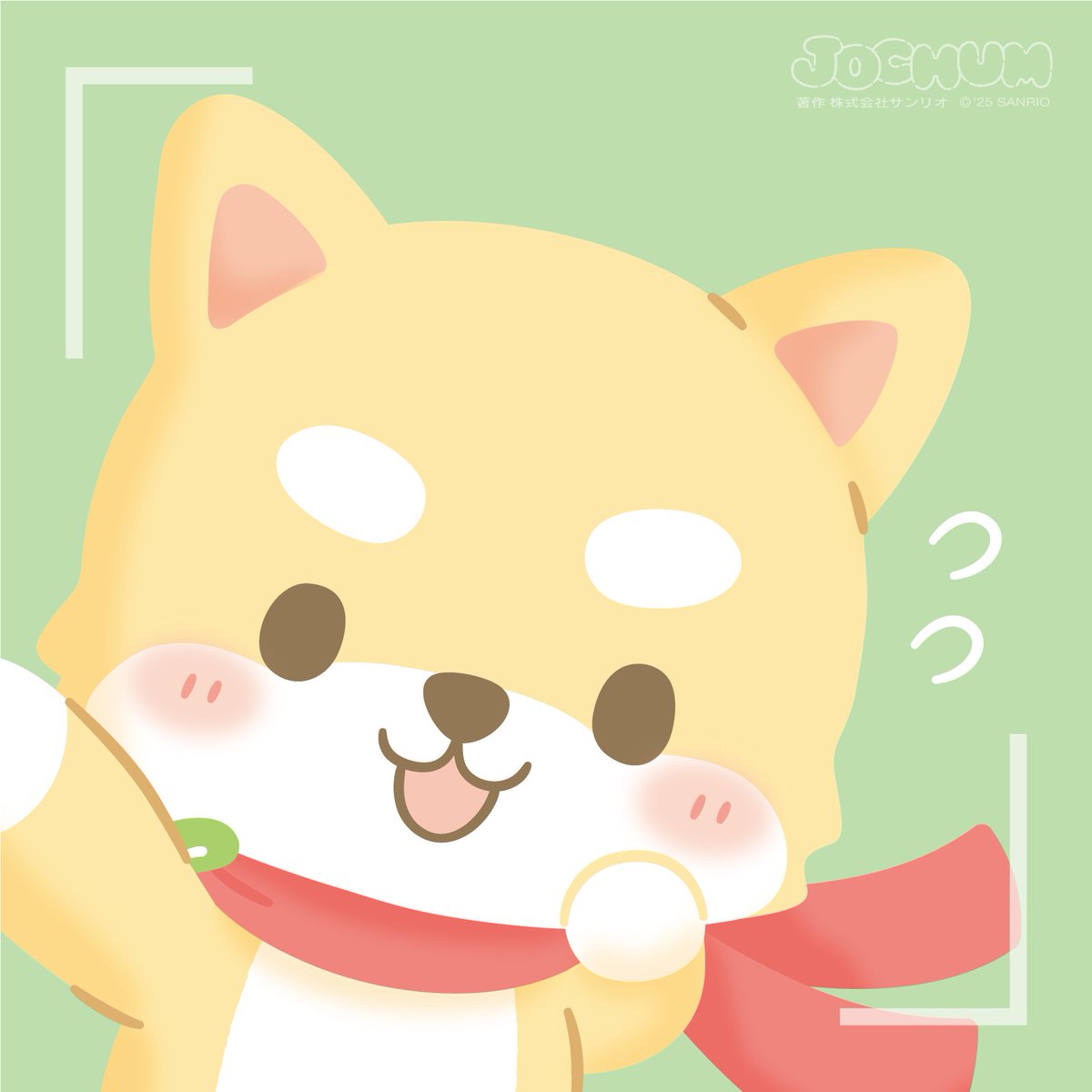 JOCHUM(ジェオチャム) (@jo1xsanrio) / X
