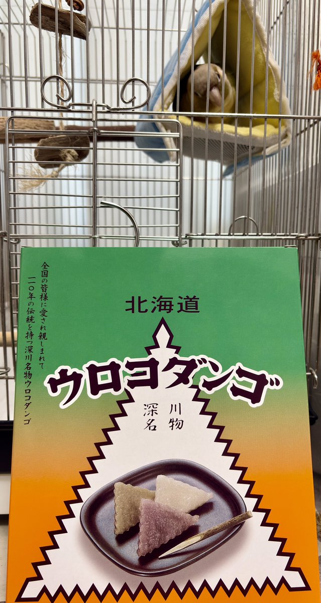 ParrotsSky's tweet photo. ウロコダンゴ٩( ᐛ )و https://t.co/XaND4CxRXY