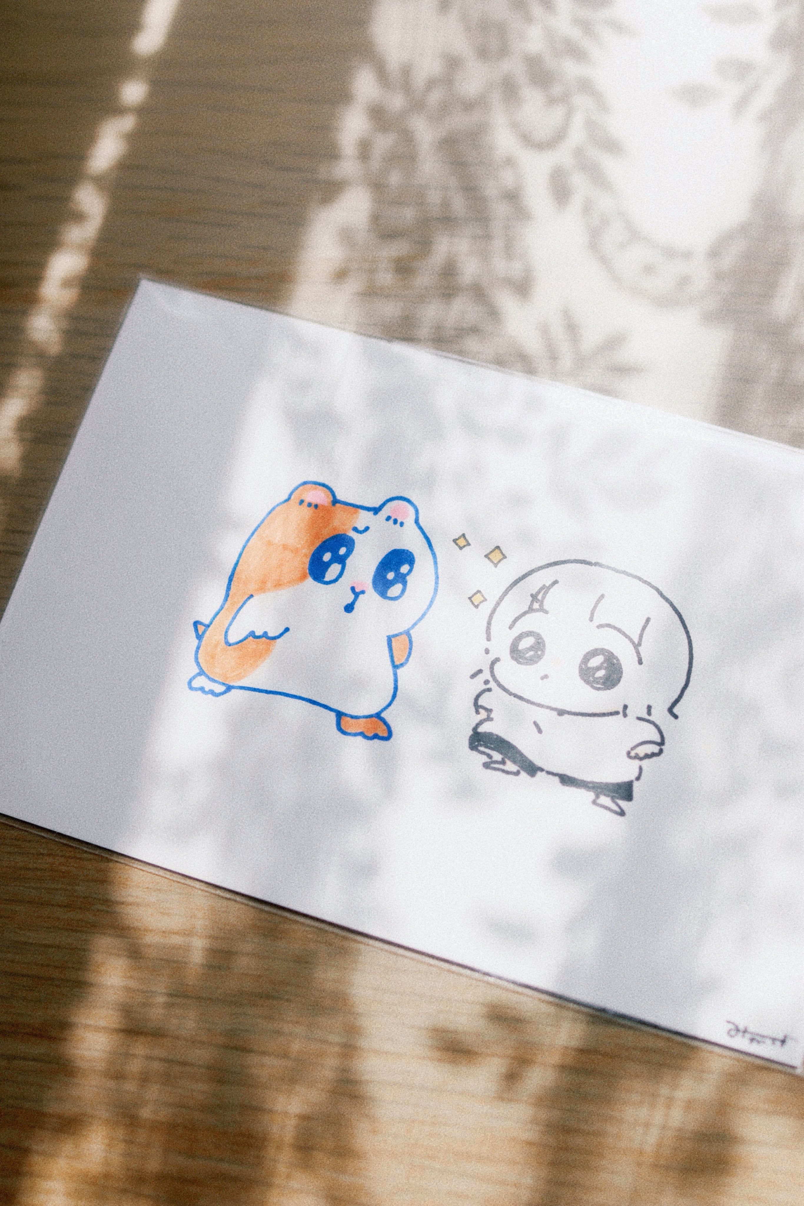おもち🐣 (@omochi_ch328) / X