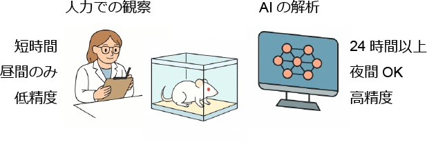 【研究成果】マウスの「かゆみ」をAIで“見える化”――かゆみの質と量を定量できる新技術を開発――
a.u-tokyo.ac.jp/topics/topics_…
#東京大学 #農学部 #マウス #かゆみ #AI #慢性皮膚疾患 #アレルギー #獣医学